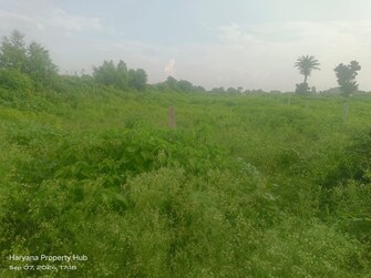 Plot For Resale in Ambala Highway Zirakpur  7579279