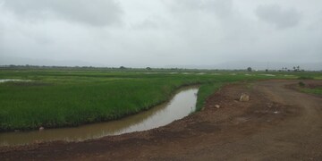 Plot Area in  Plot at Pen – for Sale