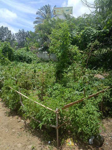  Plot – Garden View at Eagle Ridge, Begur - for Sale