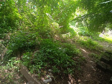  Plot – Garden View at Eagle Ridge, Begur - for Sale
