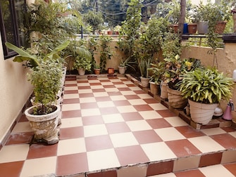 4 BHK Independent House For Resale in Kaivalya Dham Raipur  7579718