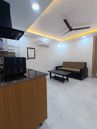 1 BHK Apartment For Rent in Dlf City Phase 3 Gurgaon  7579817