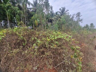 Commercial Land 1200 Sq.Ft. For Resale in Nelamangala - Chikkaballapura Road Bangalore  7579845