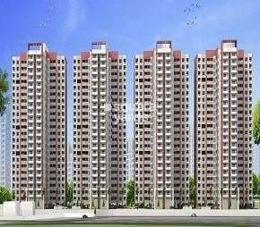 1 BHK Apartment For Rent in Golden Arch Bavdhan Pune  7579853