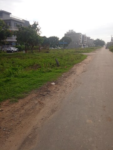 Plot Area in  Plot at Altus Prime, North Mullanpur – for Sale