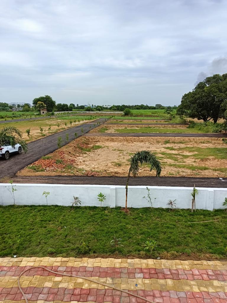 Plot For Resale in Dadri Greater Noida  7580841