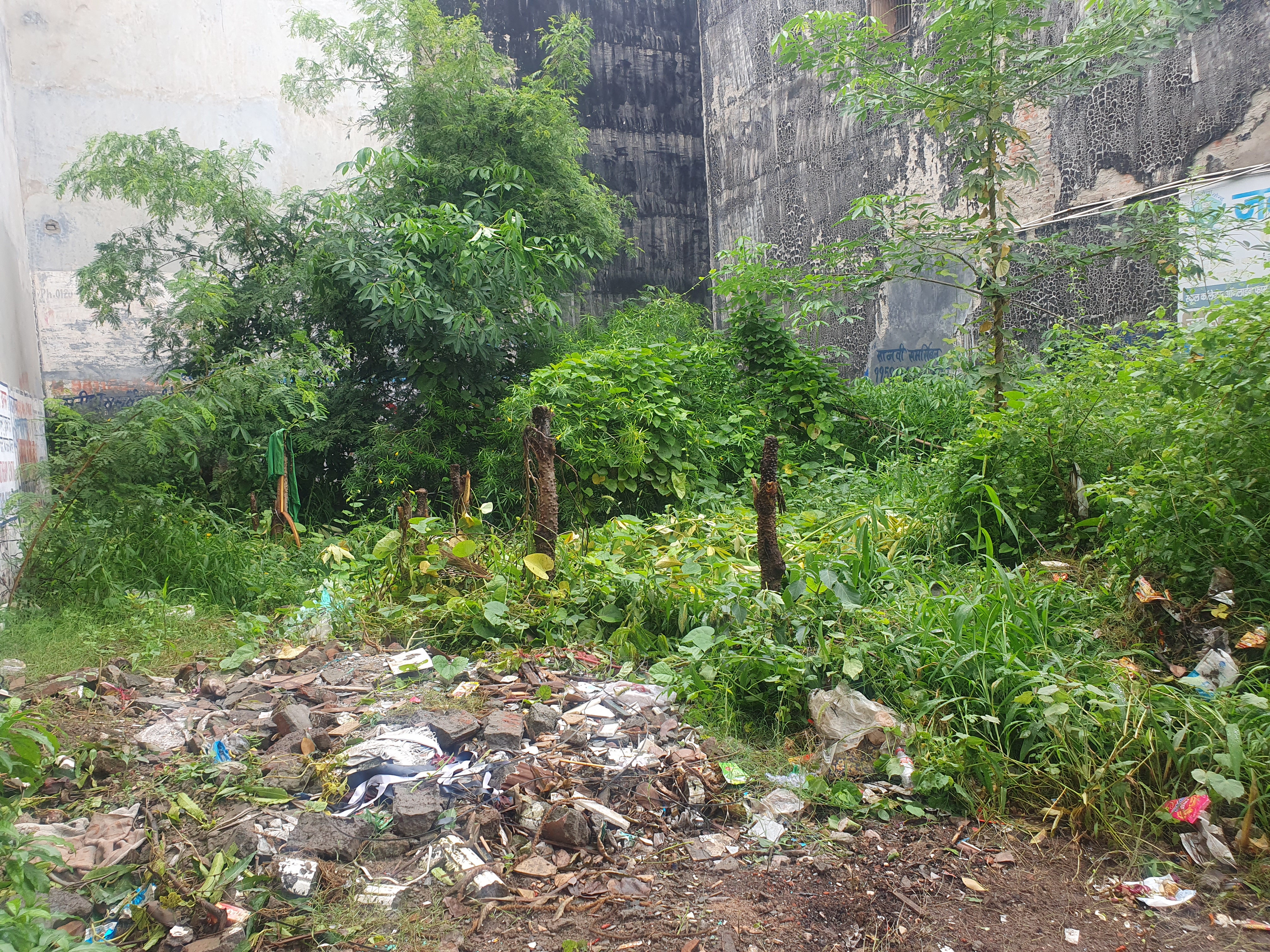 Plot For Sale in Vasundhara Sector 5