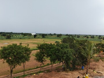 Plot Area in  Plot at Shadnagar – for Sale