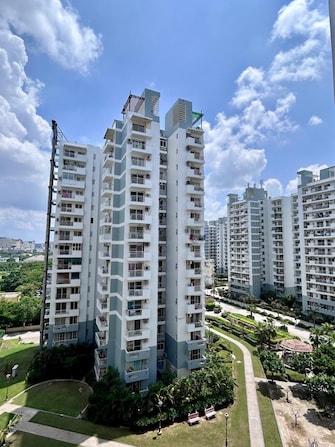 2 BHK Apartment For Resale in CHD Avenue 71 Sector 71 Gurgaon  7581108