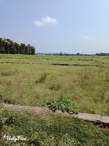 Plot Area in  Plot at Chunar – for Sale