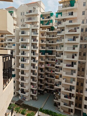 1 BHK Apartment For Rent in Pivotal Devaan Sector 84 Gurgaon  7581263