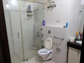 3 BHK Apartment For Rent in Casa Woodstock Noida Ext Sector 16c Greater Noida  7581769