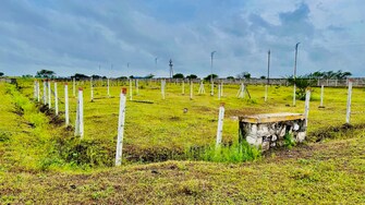 Plot For Resale in Nashik Airport Nashik  7582299