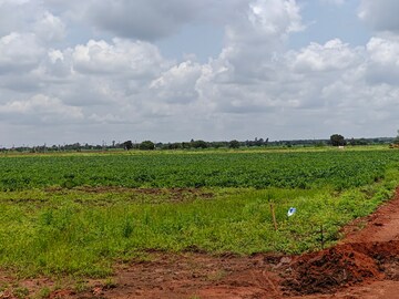  Plot For Sale in Digwal