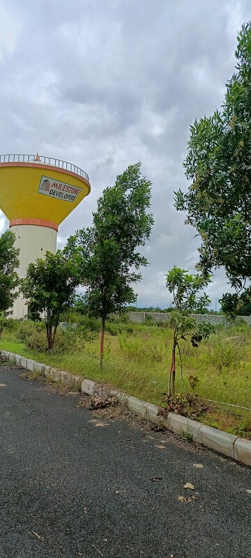 Plot Area in  Plot at Kongara Kalan – for Sale