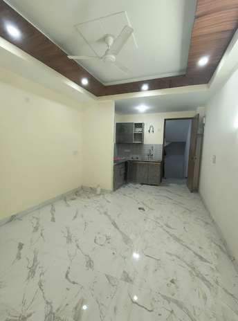 1 BHK Builder Floor For Rent in Indira Enclave Neb Sarai Neb Sarai Delhi  7582954