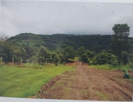 Commercial Land 10000 Sq.Ft. For Resale in Bhagad Raigad  7583078