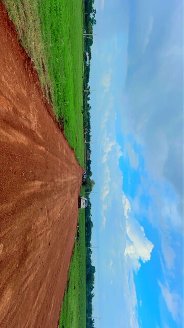  Plot For Sale in Digwal