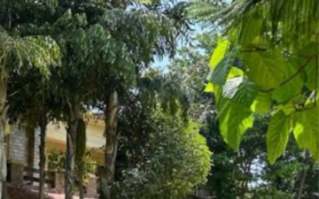 Land For Sale in Sector 64