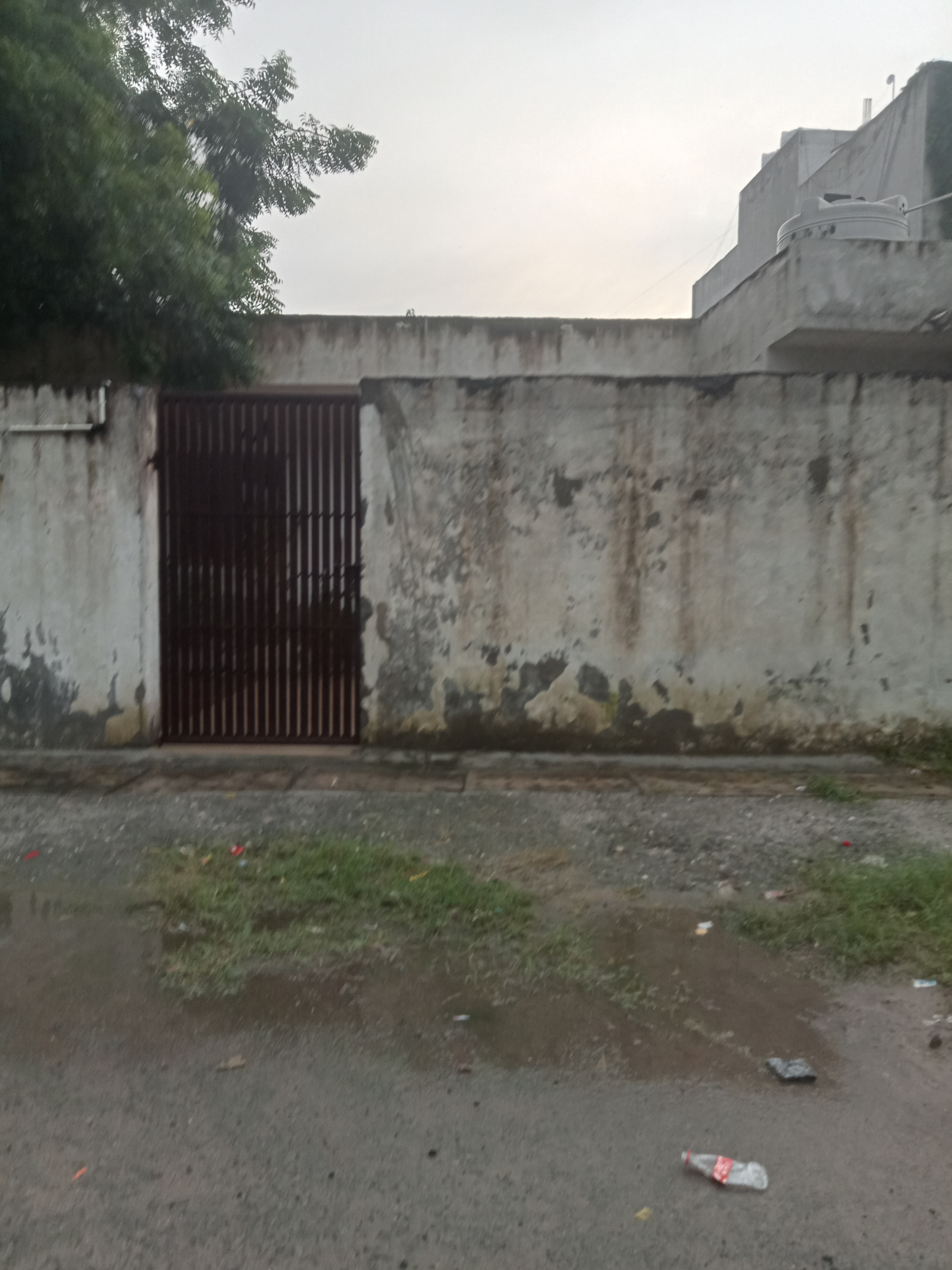 Plot For Resale in Sector 12 Dwarka Delhi  7584136