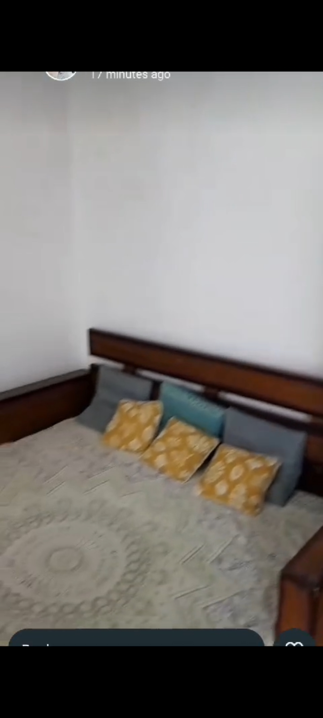 Rental 1 RK 400 Sq.Ft. Penthouse in Delhi Blue Apartments, Sarojini ...