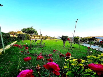  Plot For Sale in Wing Lucknow Greens Plots, Sultanpur Road