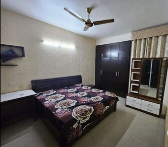 3 BHK Builder Floor For Rent in Sunshine Enclave Vip Road Zirakpur  7584794