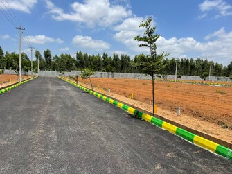 Plot For Resale in Malur Kolar  7585050