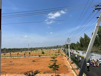 Plot For Resale in Malur Kolar  7585050