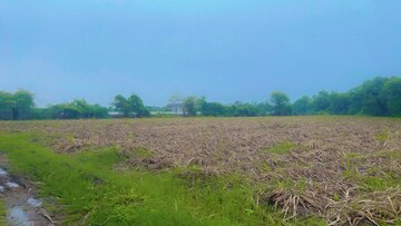  Plot For Sale in Thaltej