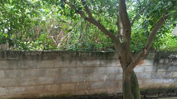 Plot Area in  Plot at Channasandra – for Sale