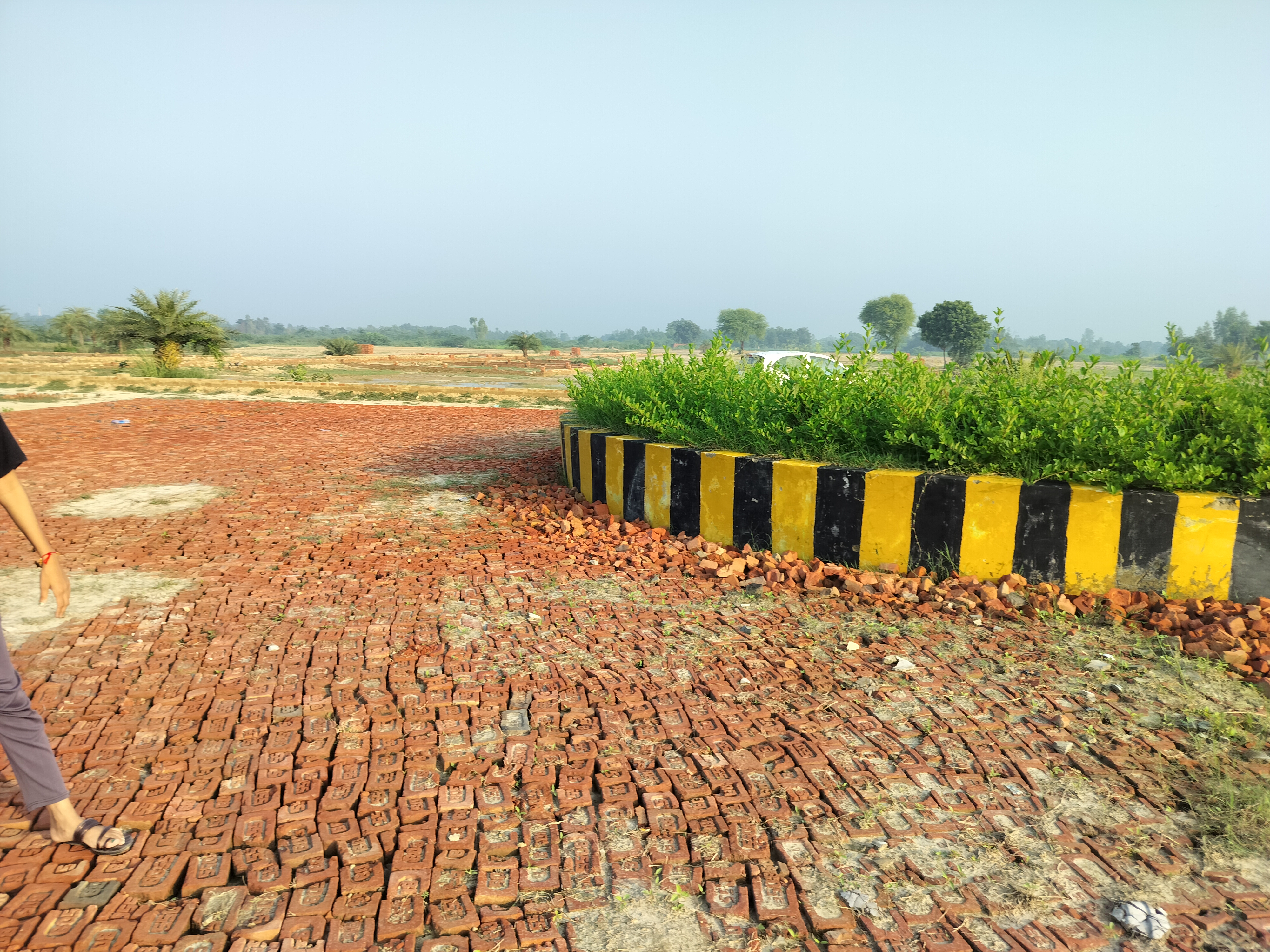 Plot For Resale in Sgpgi Lucknow  7585699