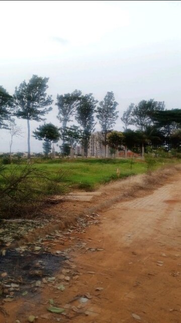  Plot For Sale in Ivory at Brigade Orchards, Devanahalli