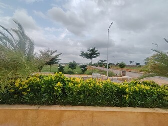 Plot For Resale in Amangal Hyderabad  7586547