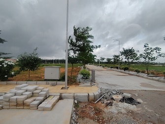 Plot For Resale in Amangal Hyderabad  7586547