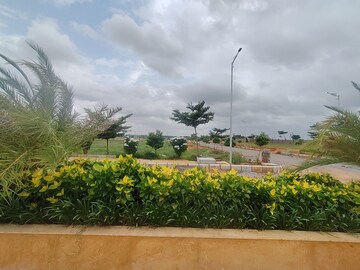  Plot For Sale in Amangal