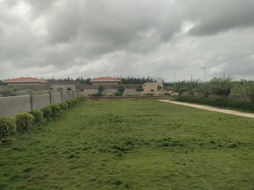 Plot Area in  Plot at Amangal – for Sale
