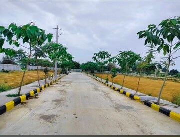  Plot – Nearby View at Peddapur - for Sale