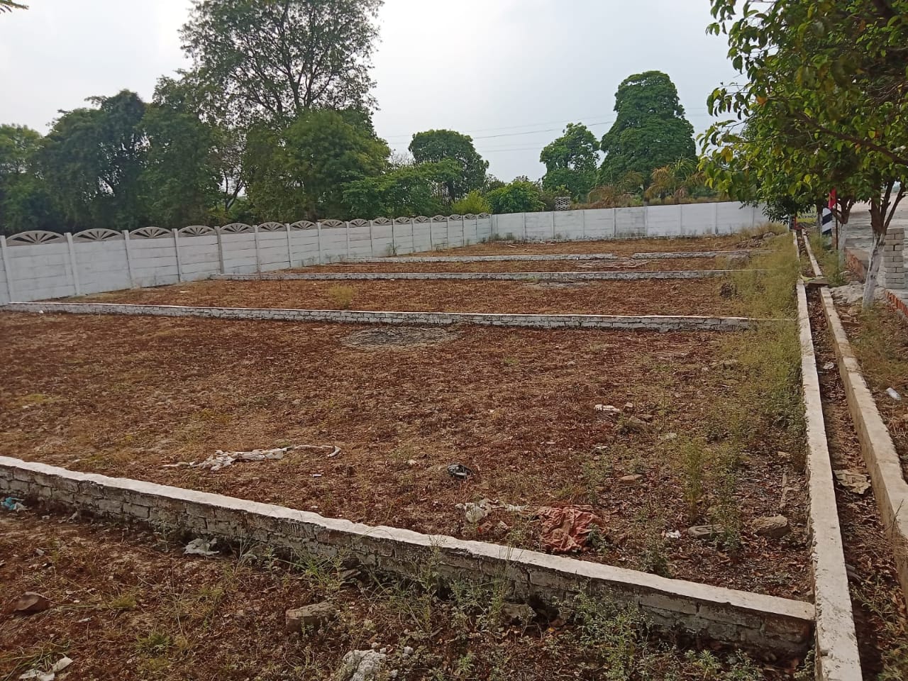 Plot For Resale in Kamta Lucknow  7587232