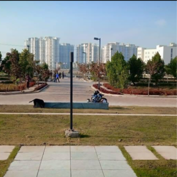  Plot – Garden View at BPTP Amstoria Plot, Sector 102 - for Sale