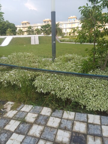  Plot For Sale in TDI The Grand Retreat, Sector 88