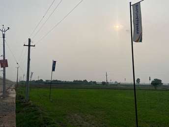 Commercial Land 300 Sq.Yd. For Resale in Banur Mohali  7587509