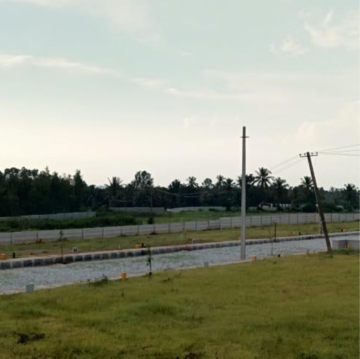  Plot For Sale in Tavarekere