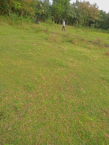  Plot For Sale in Bhogapuram