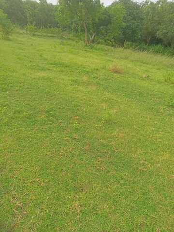  Plot – Garden View at Bhogapuram - for Sale