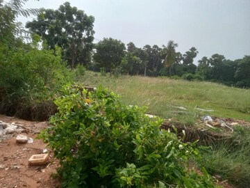 Plot Area in  Plot at Bhogapuram – for Sale