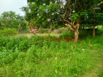  Plot – Garden View at Bhogapuram - for Sale
