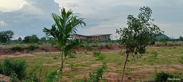  Plot – Exterior View View at JB Nature Valley, Choutuppal - for Sale