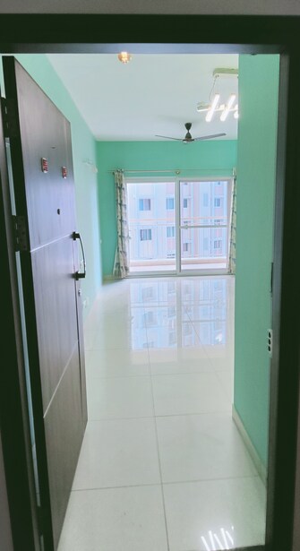 1 BHK Apartment For Rent in Brigade Buena Vista Budigere Bangalore  7589667