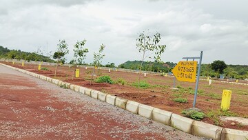 Plot Area in  Plot at Budhera – for Sale